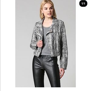 NWOT Fate python moto jacket
